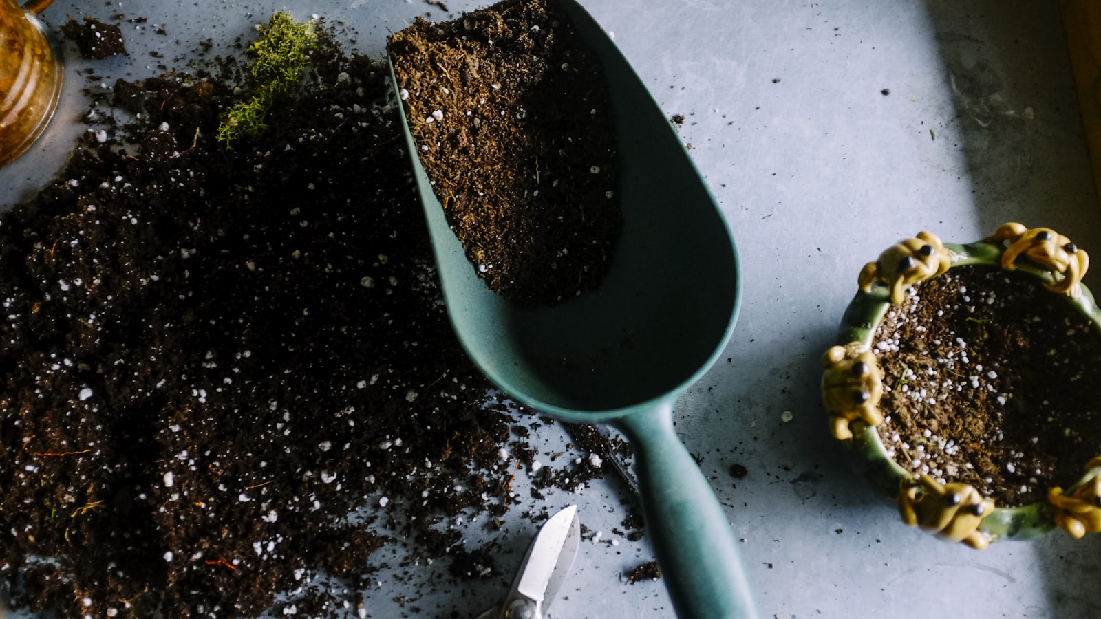10 Low-Maintenance Perennials That Bloom All Summer Long